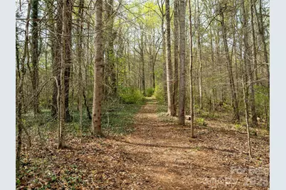 91 Rice Branch Road, Asheville, NC 28804 - Photo 27