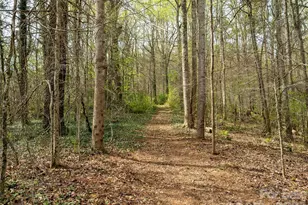 91 Rice Branch Rd, Asheville, NC 28804 - Photo 27