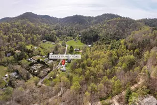 91 Rice Branch Rd, Asheville, NC 28804 - Photo 39