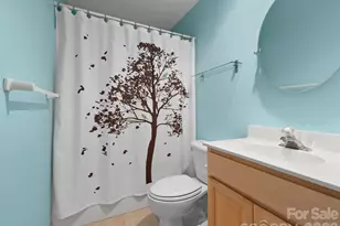 21 Old Applewood Ln, Hendersonville, NC 28739 - Photo 15