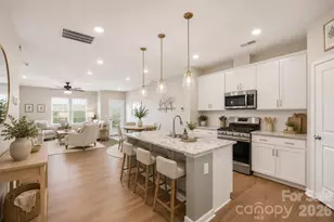 909 Cobbled Wy, Fort Mill, SC 29715 - Photo 7
