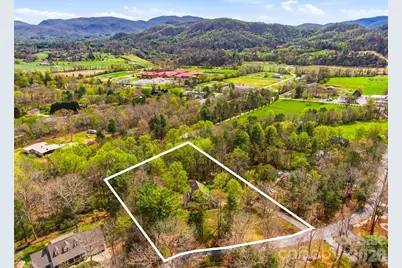 32 Franklin Farm Road, Fletcher, NC 28732 - Photo 3