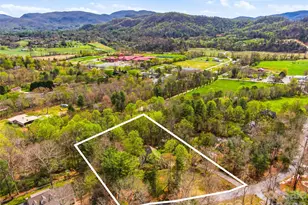 32 Franklin Farm Rd, Fletcher, NC 28732 - Photo 3