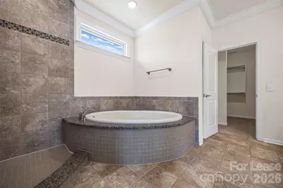 12712 Rusty Blackbird Way, Charlotte, NC 28278 - Photo 33