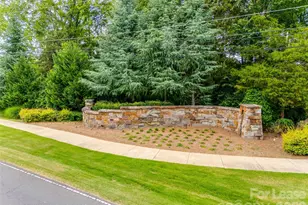 12712 Rusty Blackbird Wy, Charlotte, NC 28278 - Photo 43