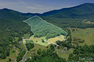 253 Odoms Chapel Rd, Bakersville, NC 28705 - Photo 29