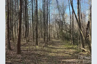 1164 Robert C Kellam Road, Pinnacle, NC 27043 - Photo 15