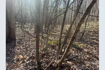 1164 Robert C Kellam Road, Pinnacle, NC 27043 - Photo 21