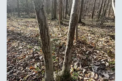 1164 Robert C Kellam Road, Pinnacle, NC 27043 - Photo 23