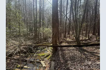 1164 Robert C Kellam Road, Pinnacle, NC 27043 - Photo 43