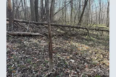 1164 Robert C Kellam Road, Pinnacle, NC 27043 - Photo 17