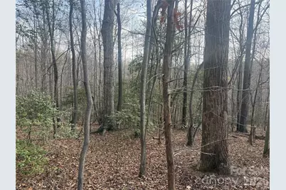 1164 Robert C Kellam Road, Pinnacle, NC 27043 - Photo 41