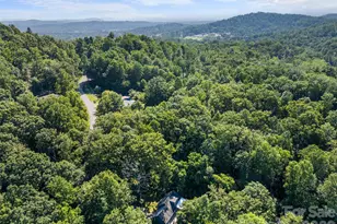 58 Pittman Rd, Fletcher, NC 28732 - Photo 29