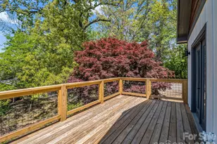 18 Worley Pl, Asheville, NC 28806 - Photo 23