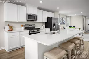 1348 Elm Forest Ln, China Grove, NC 28023 - Photo 3