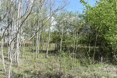 56 Malden Court, Crouse, NC 28033 - Photo 33