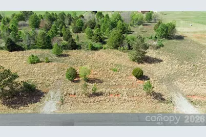 56 Malden Court, Crouse, NC 28033 - Photo 9