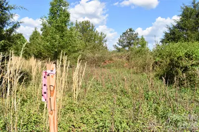 56 Malden Court, Crouse, NC 28033 - Photo 17