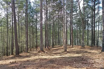 2299 Lighthouse Lane #76, Connelly Springs, NC 28612 - Photo 3