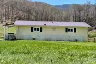 1638 Hughes Gap Rd, Bakersville, NC 28705 - Photo 3