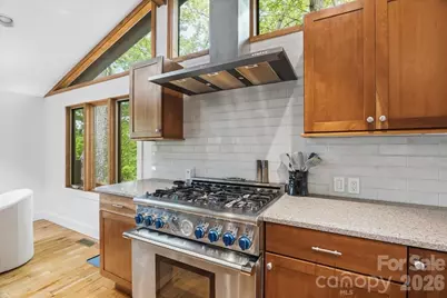 100 Gold Creek Crossing, Black Mountain, NC 28711 - Photo 11