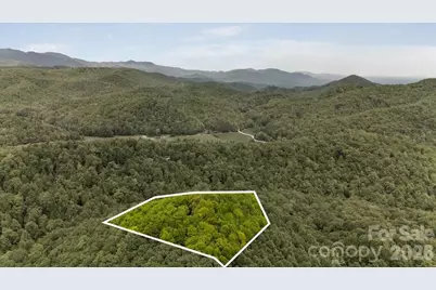 100 Gold Creek Crossing, Black Mountain, NC 28711 - Photo 43