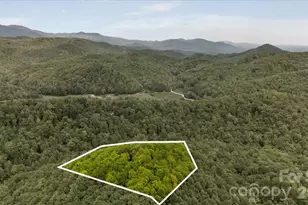 100 Gold Creek Crossing, Black Mountain, NC 28711 - Photo 43