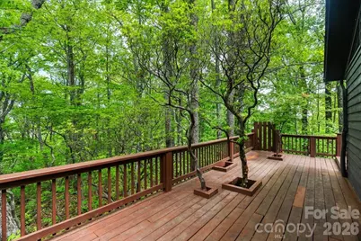 100 Gold Creek Crossing, Black Mountain, NC 28711 - Photo 33