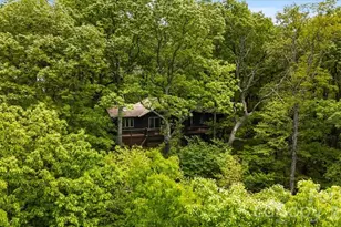 100 Gold Creek Crossing, Black Mountain, NC 28711 - Photo 41