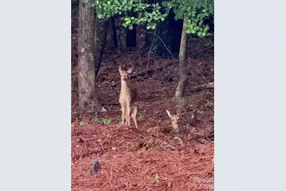 5106 Hanging Rock Court, Hickory, NC 28601 - Photo 41