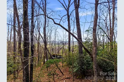 185 Garnet Way #Lot 13, Hendersonville, NC 28791 - Photo 15