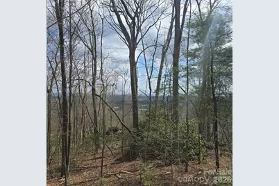 185 Garnet Way #Lot 13, Hendersonville, NC 28791 - Photo 3