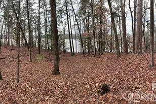 205 Kingfisher Ct, New London, NC 28127 - Photo 5