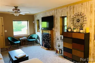 29 Plum Nearly Ln, Maggie Valley, NC 28751 - Photo 7