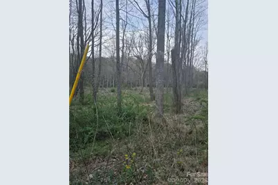 91 Miller Road, Fairview, NC 28730 - Photo 3