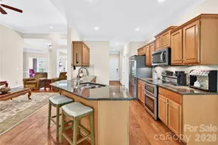 6060 Latta Springs Cir, Huntersville, NC 28078 - Photo 7