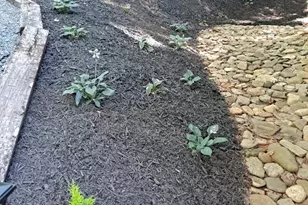 394 Jonathan Ln, Lake Lure, NC 28746 - Photo 41