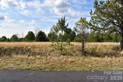 57 Malden Court, Crouse, NC 28033 - Photo 5