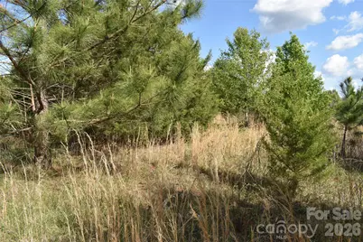 57 Malden Court, Crouse, NC 28033 - Photo 31