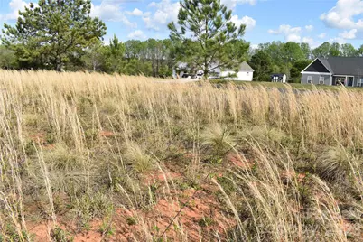 57 Malden Court, Crouse, NC 28033 - Photo 9