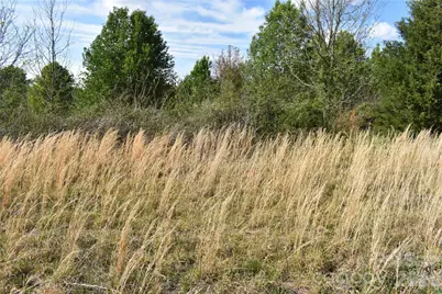 57 Malden Court, Crouse, NC 28033 - Photo 13