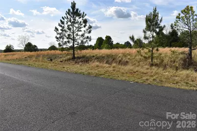 57 Malden Court, Crouse, NC 28033 - Photo 3