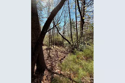 400 Emerald Hills Drive, Pisgah Forest, NC 28766 - Photo 3