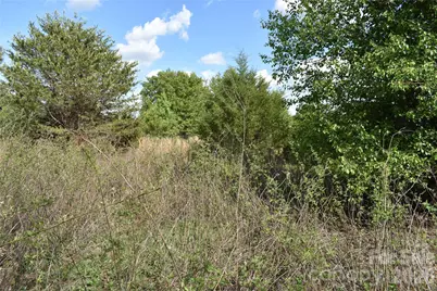 58 Malden Court, Crouse, NC 28033 - Photo 15