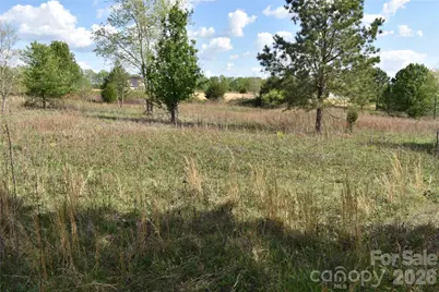 58 Malden Court, Crouse, NC 28033 - Photo 19