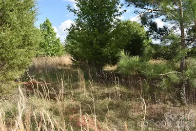 58 Malden Court, Crouse, NC 28033 - Photo 11