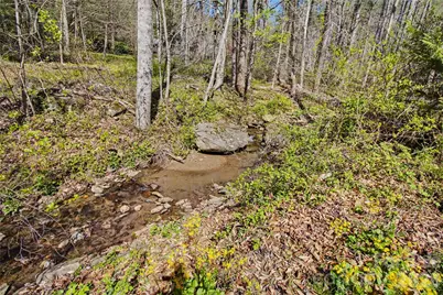 51 Hawks Landing, Weaverville, NC 28787 - Photo 17