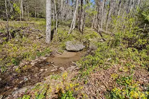 51 Hawks Landing, Weaverville, NC 28787 - Photo 17