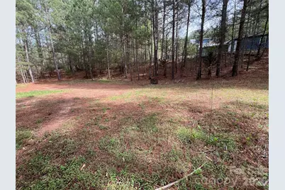 391 Clearwater Creek Parkway, Rutherfordton, NC 28139 - Photo 47