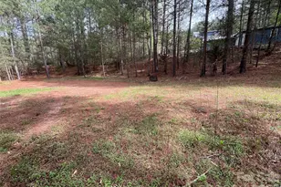 391 Clearwater Creek Pkwy, Rutherfordton, NC 28139 - Photo 47